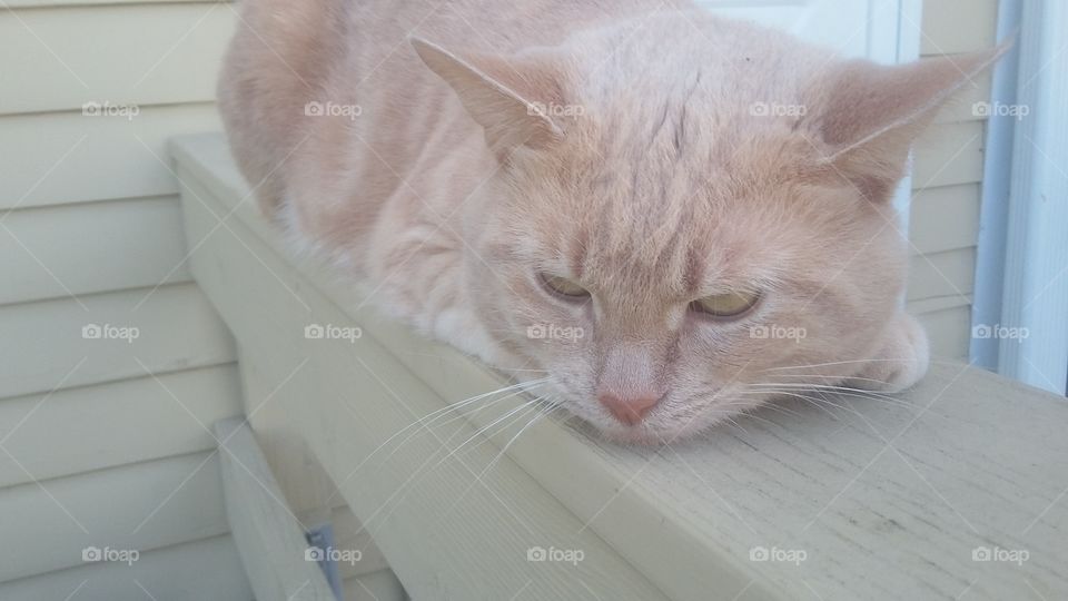 When it's Hot out... Just relax