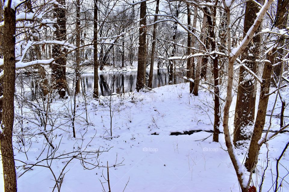 Winter days in the park in Indiana on the white river with snow and the trees in the park 