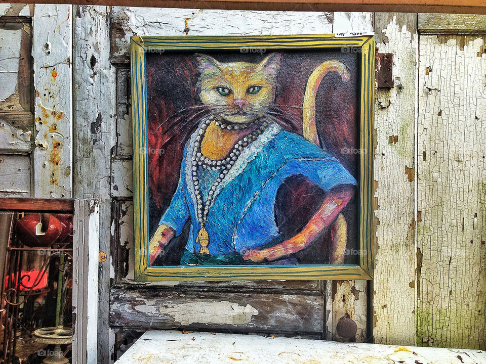Outsider art portrait of cat against a peeling wood wall in an antique