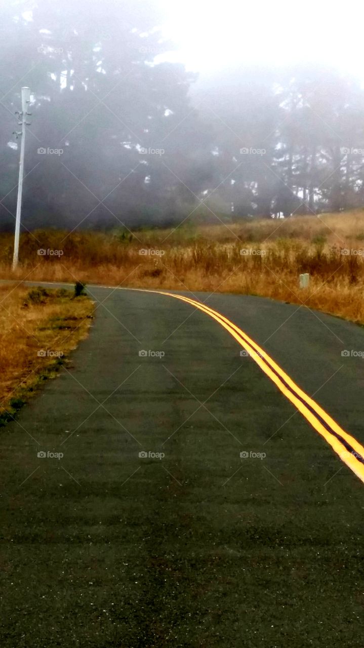 misty road