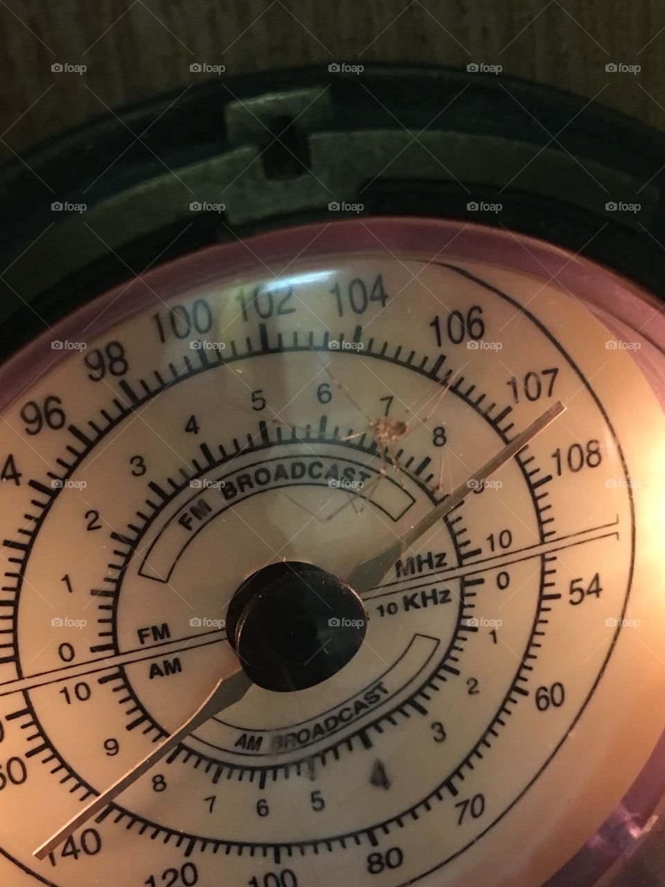 🕷 Spider on the radio dial 