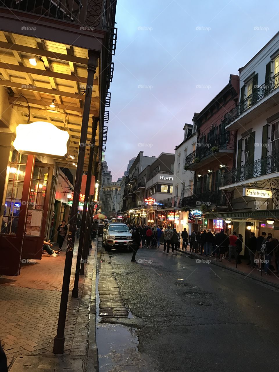 The French quarter 