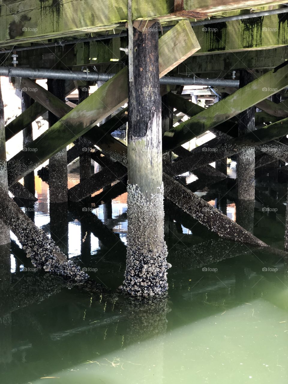 Under the Pier