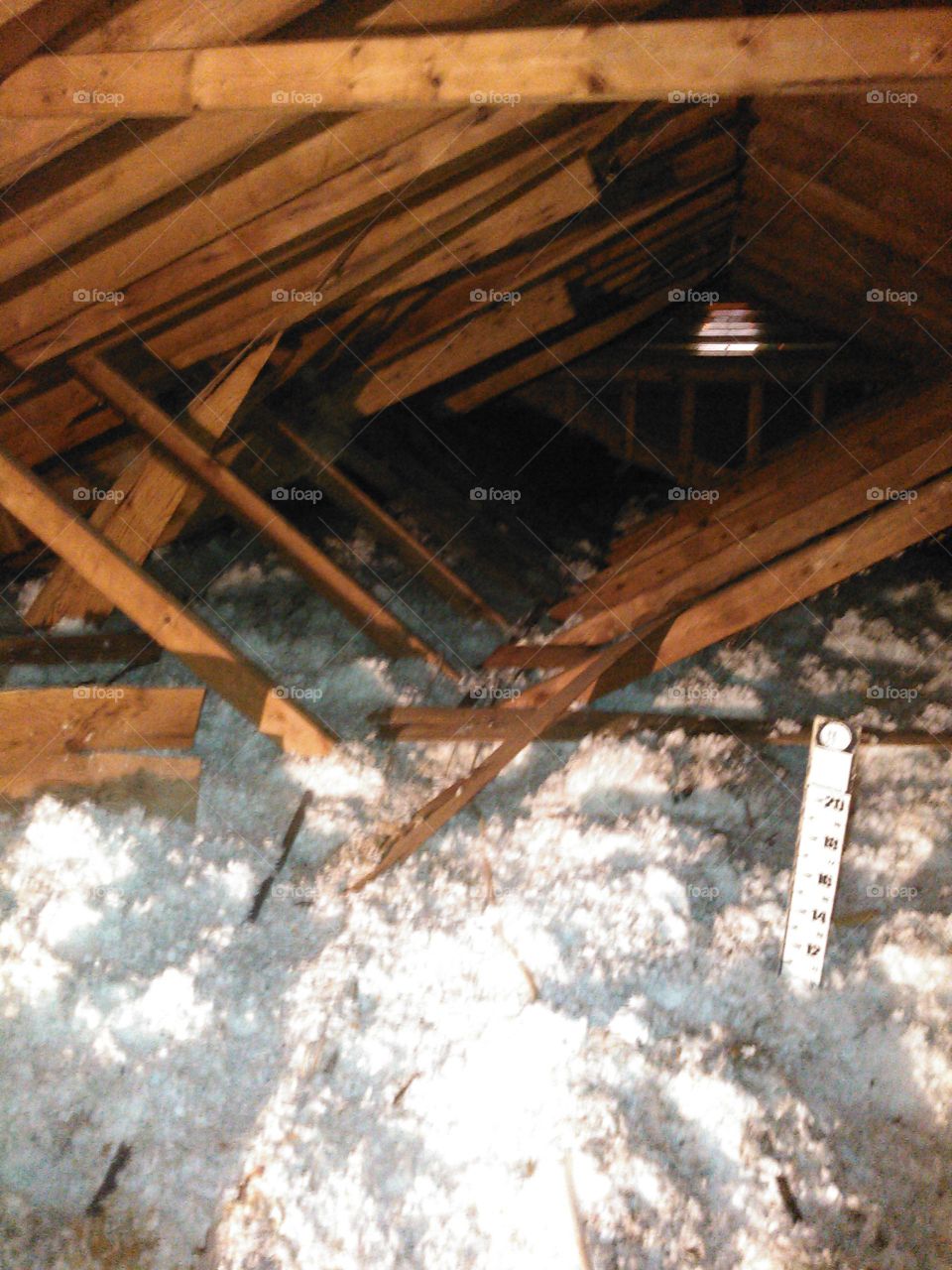"Sea of Insulation."
Here is an image of an attic full of nothing but insulation, in a house that is very, very unsafe to live in due to structural faults