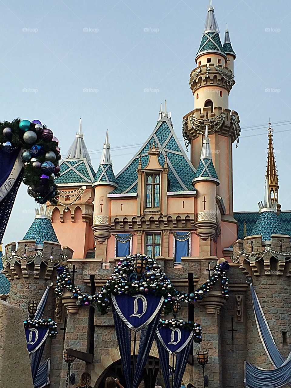 Disneyland Castle