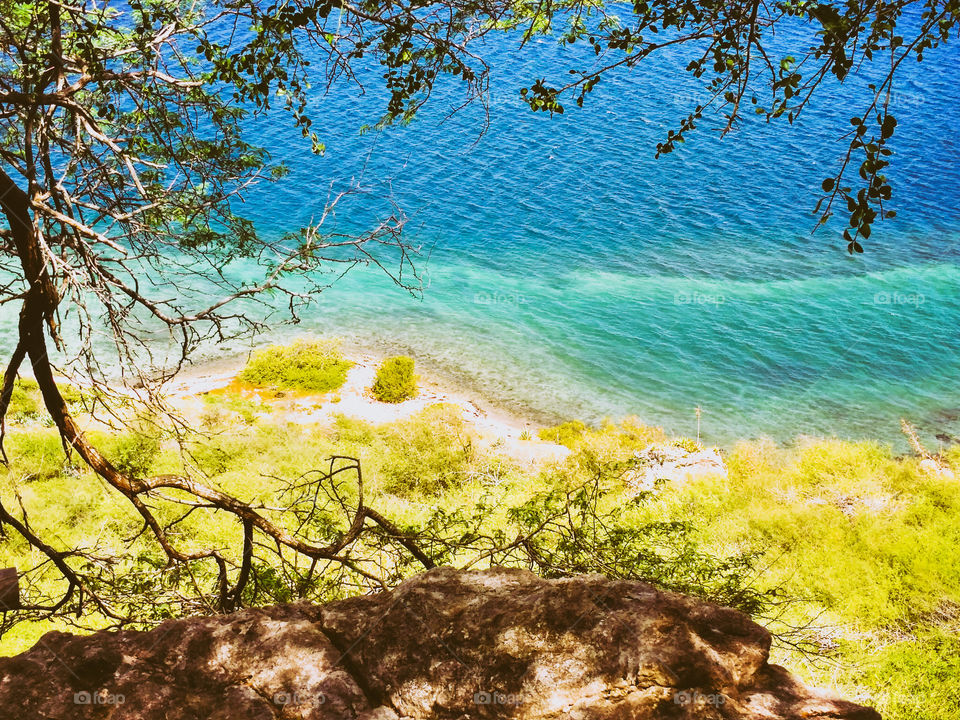 ocean viewed through nature's window 🌲🌊