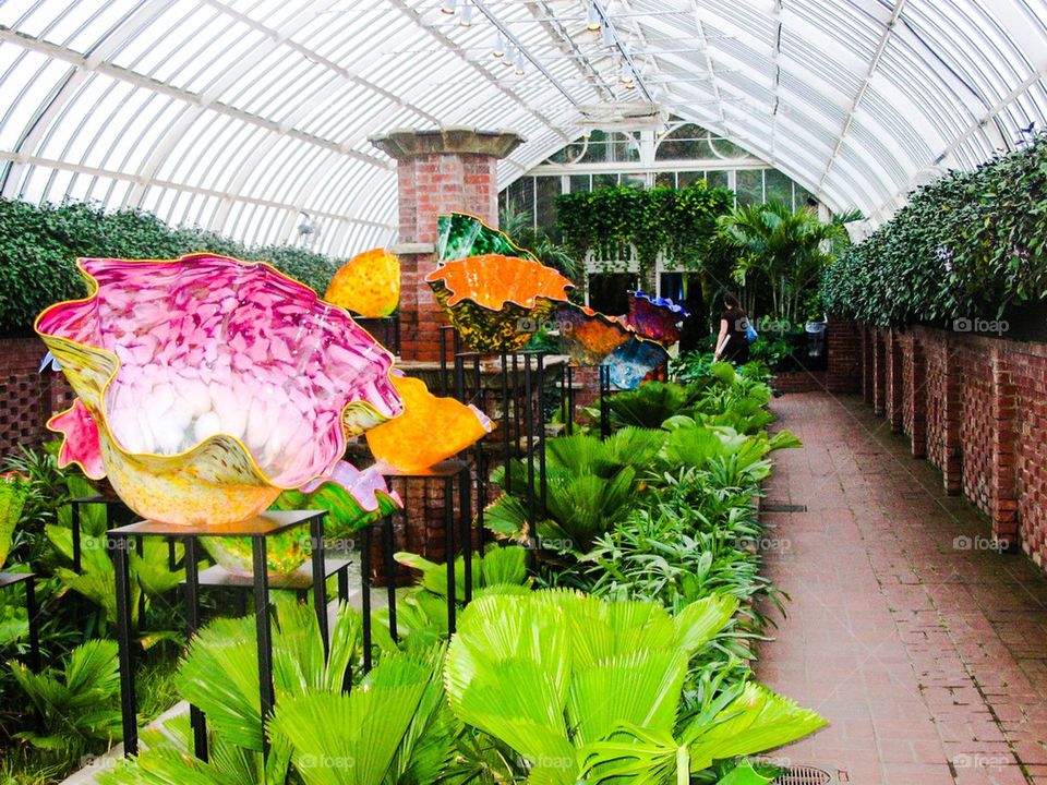 Chihuly bowls at Phipps