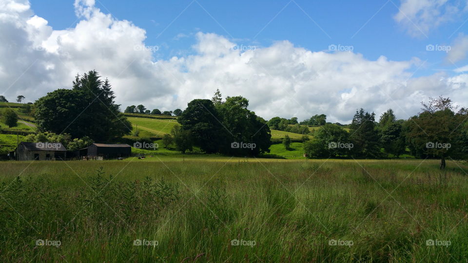 Welsh farmland in summer