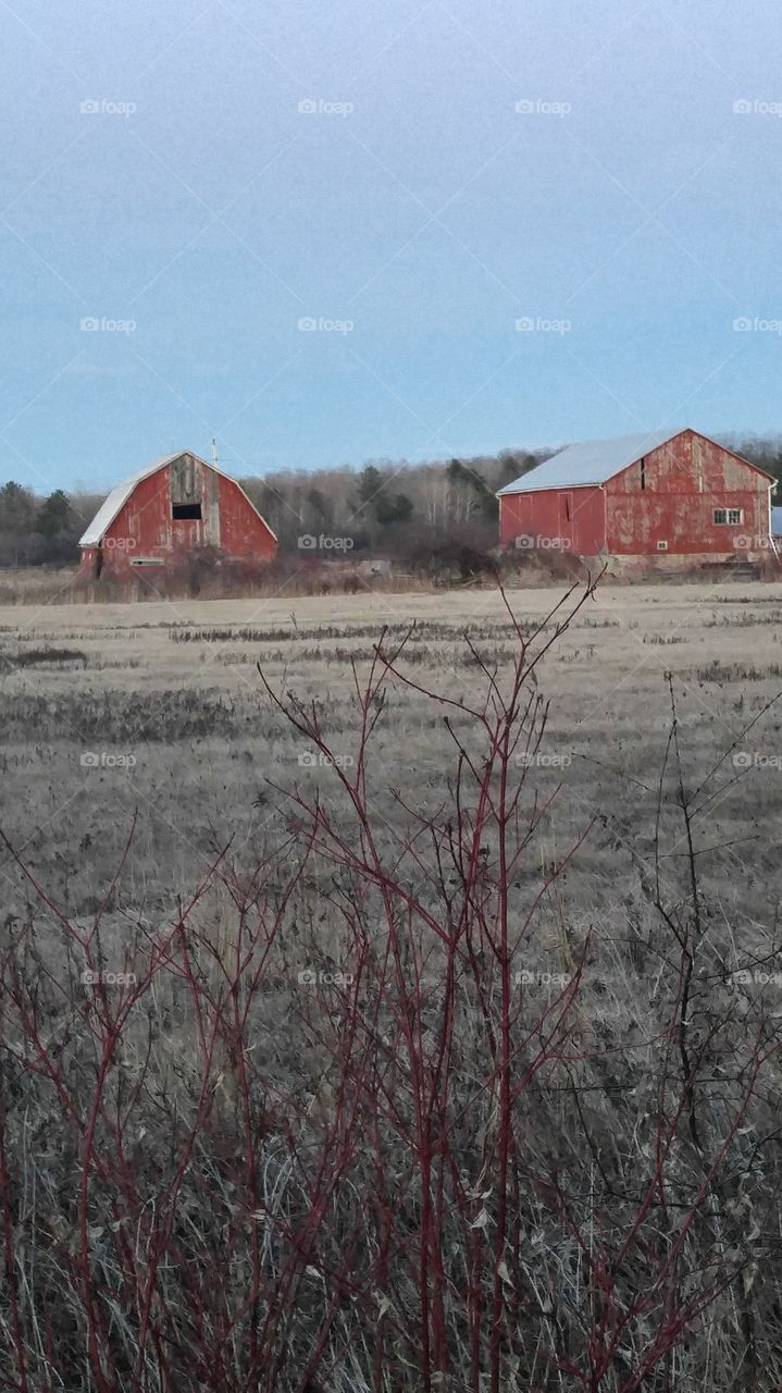 RED BARN
