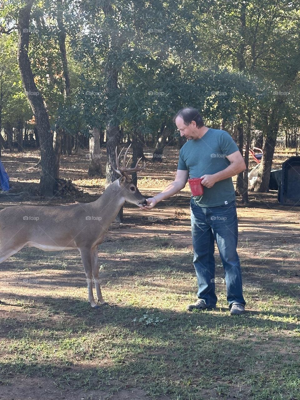 Feeding Cinnamon  