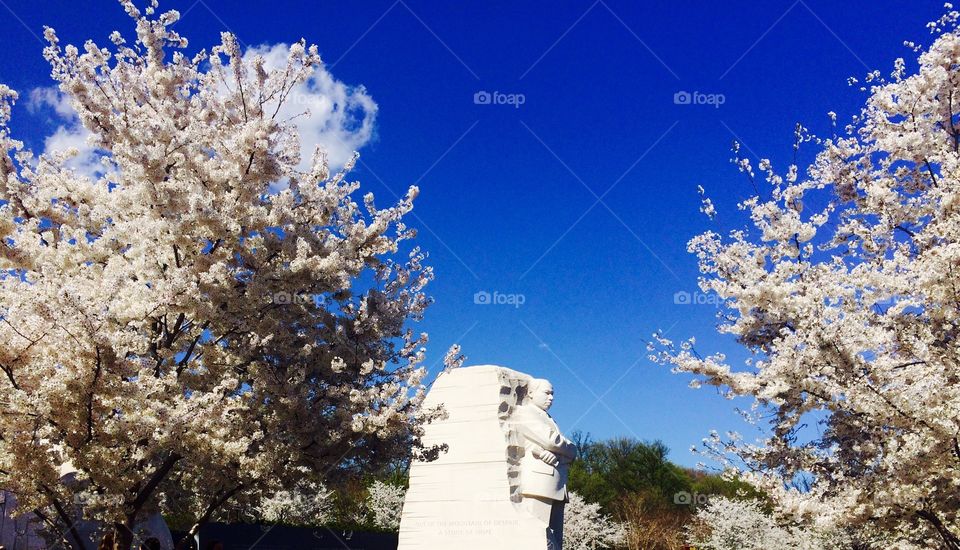 MLK Memorial. Martin Luther King Jr Memorial in DC