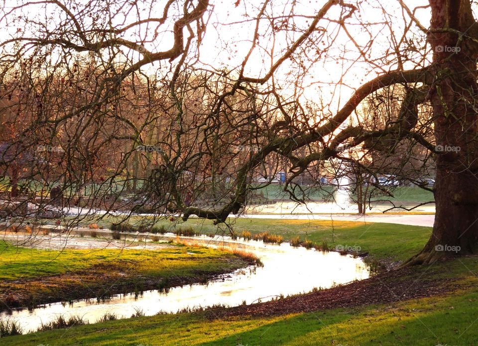 afternoon in the park