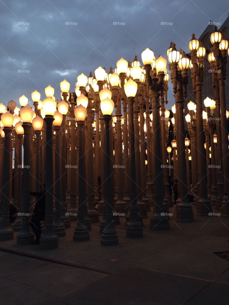 LA museum lights