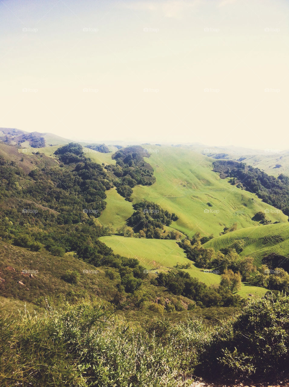 Grassy hills in central California