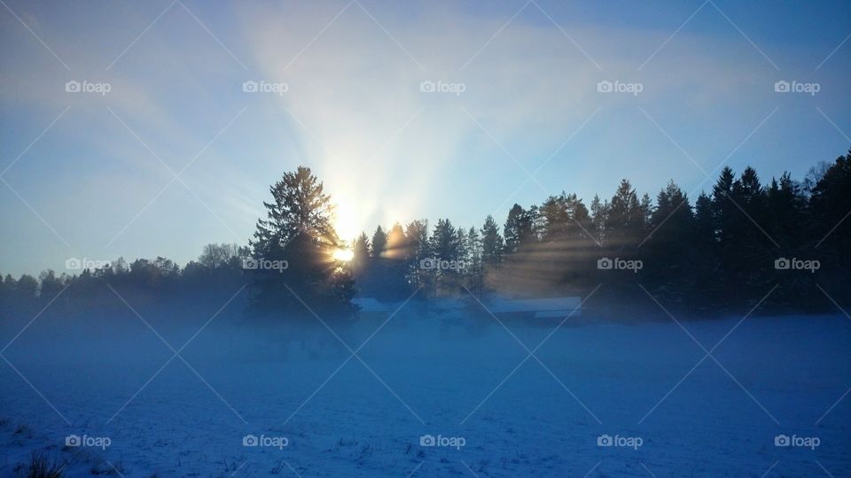 Fog on winter