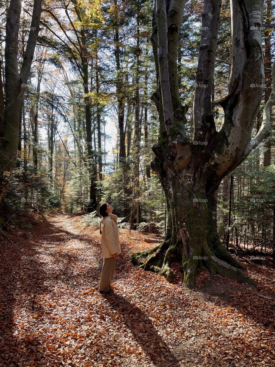 Autumn forest and me