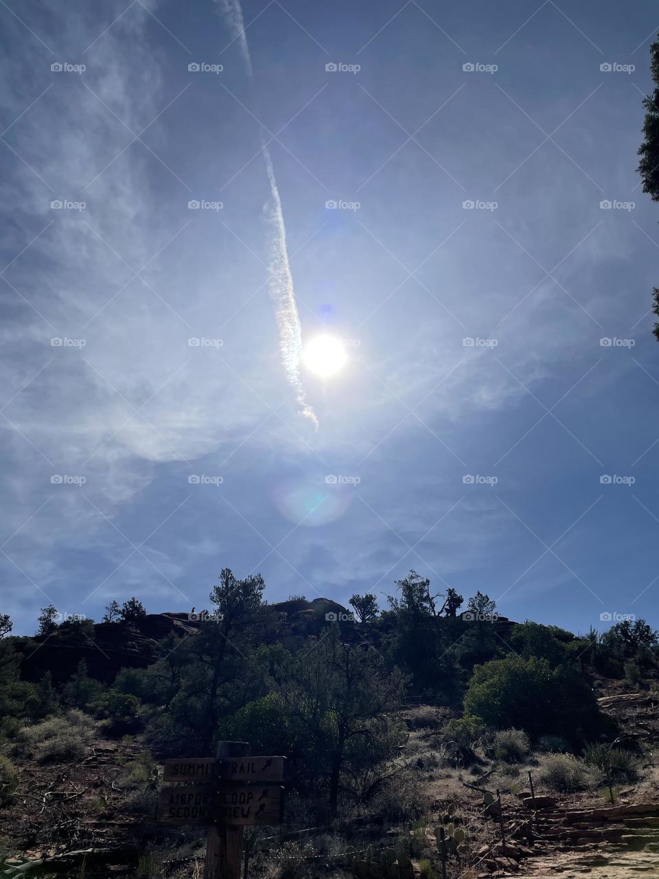 We are not alone 🌏