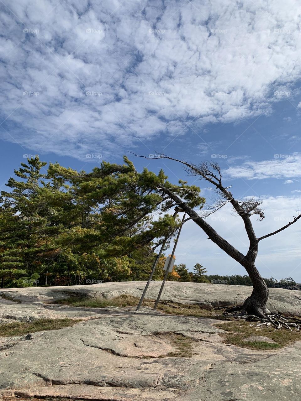 Killbear Provincial park 