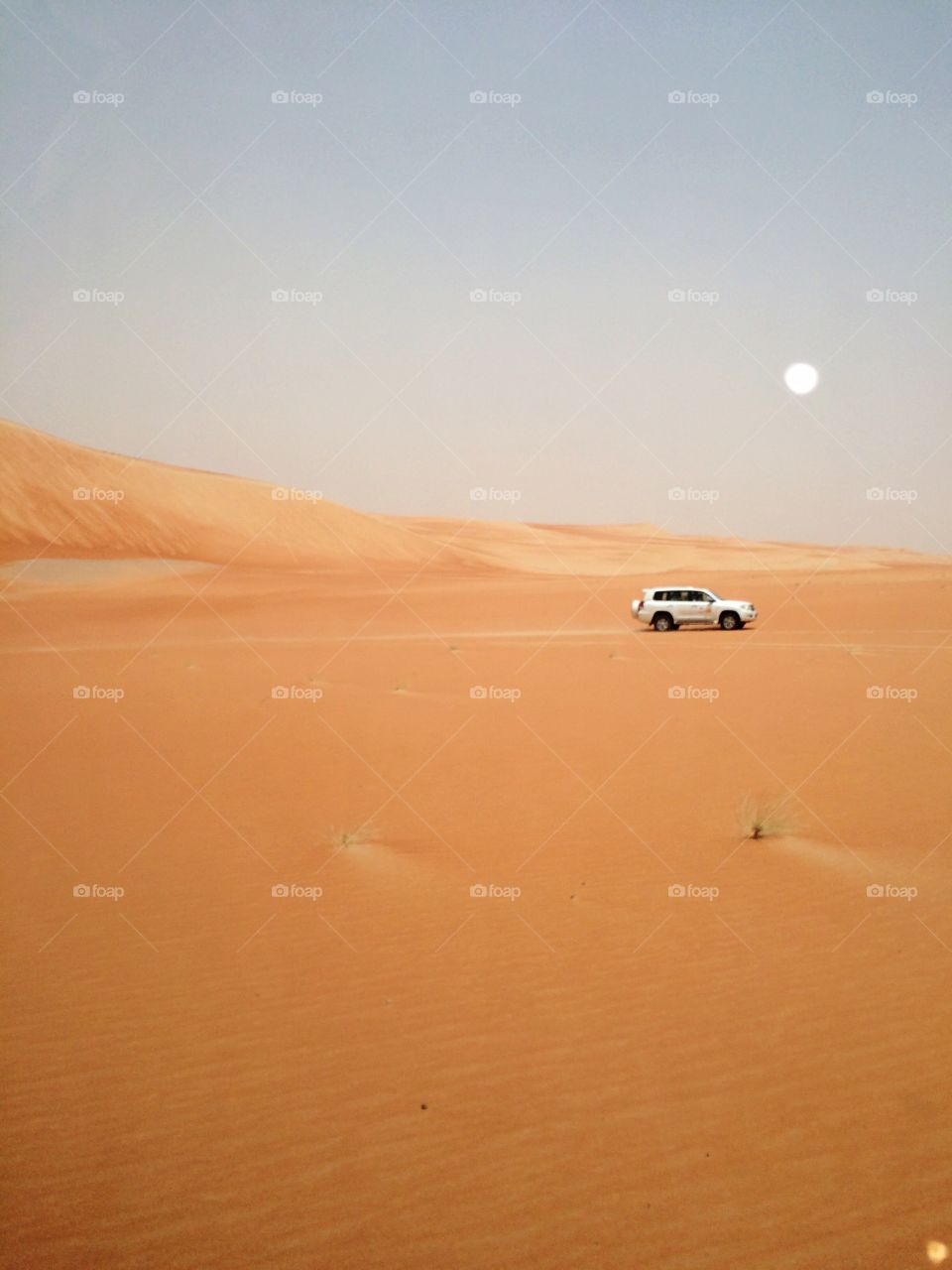 Around the Desert on the car🌴