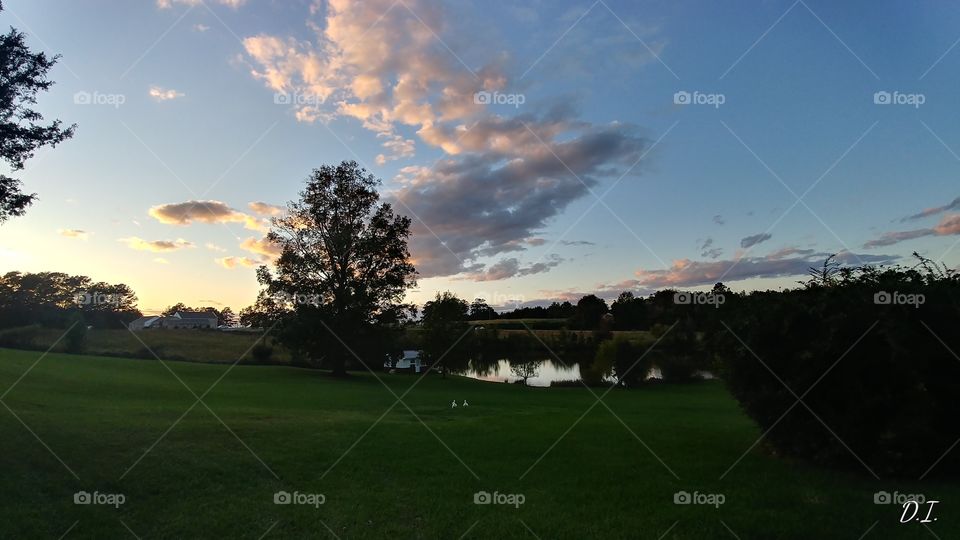 Golf, Landscape, Tree, No Person, Grass
