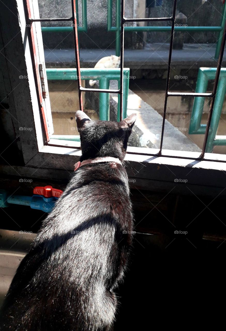 between window grilles