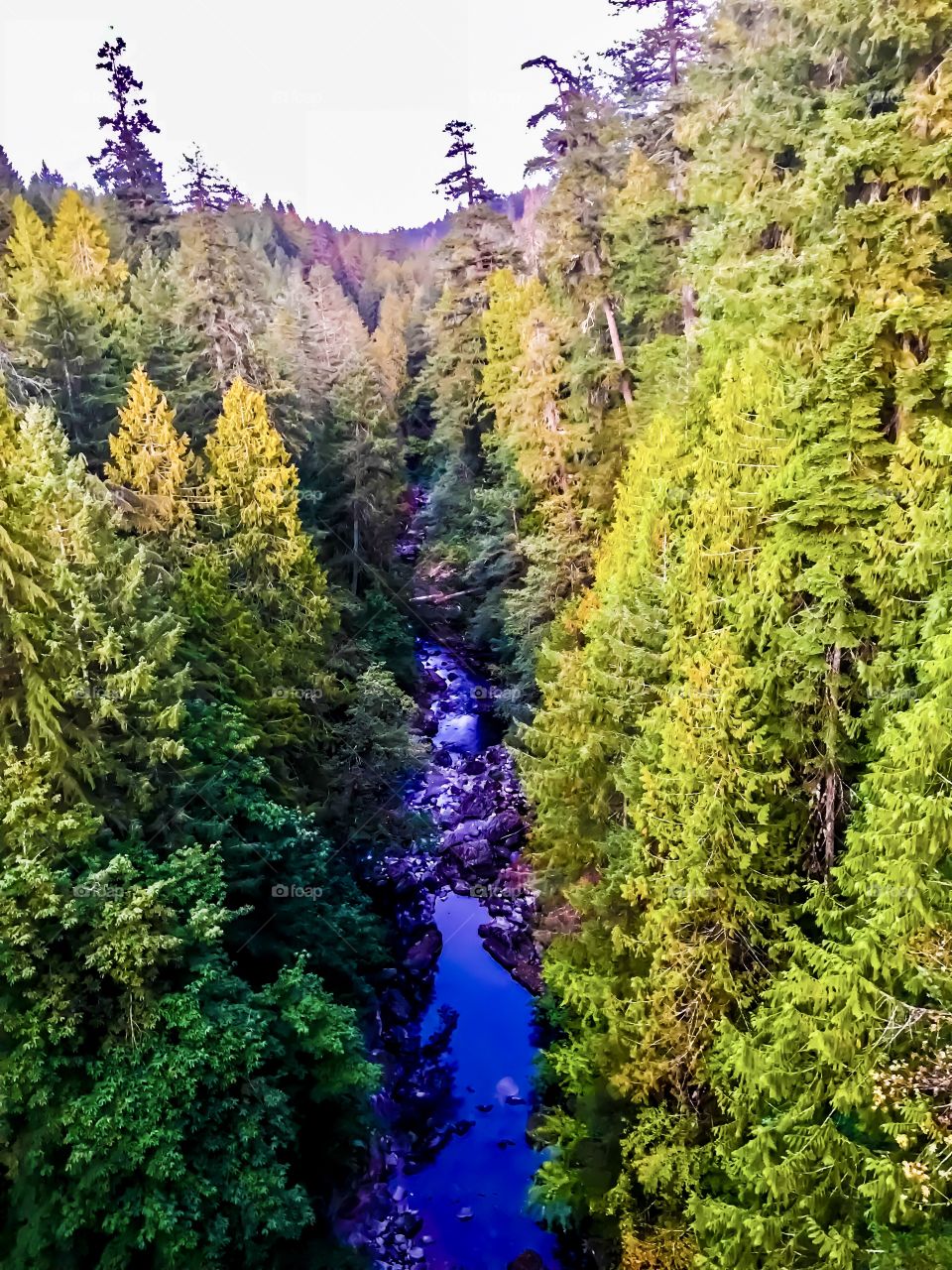 Stream flows through colourful scenery