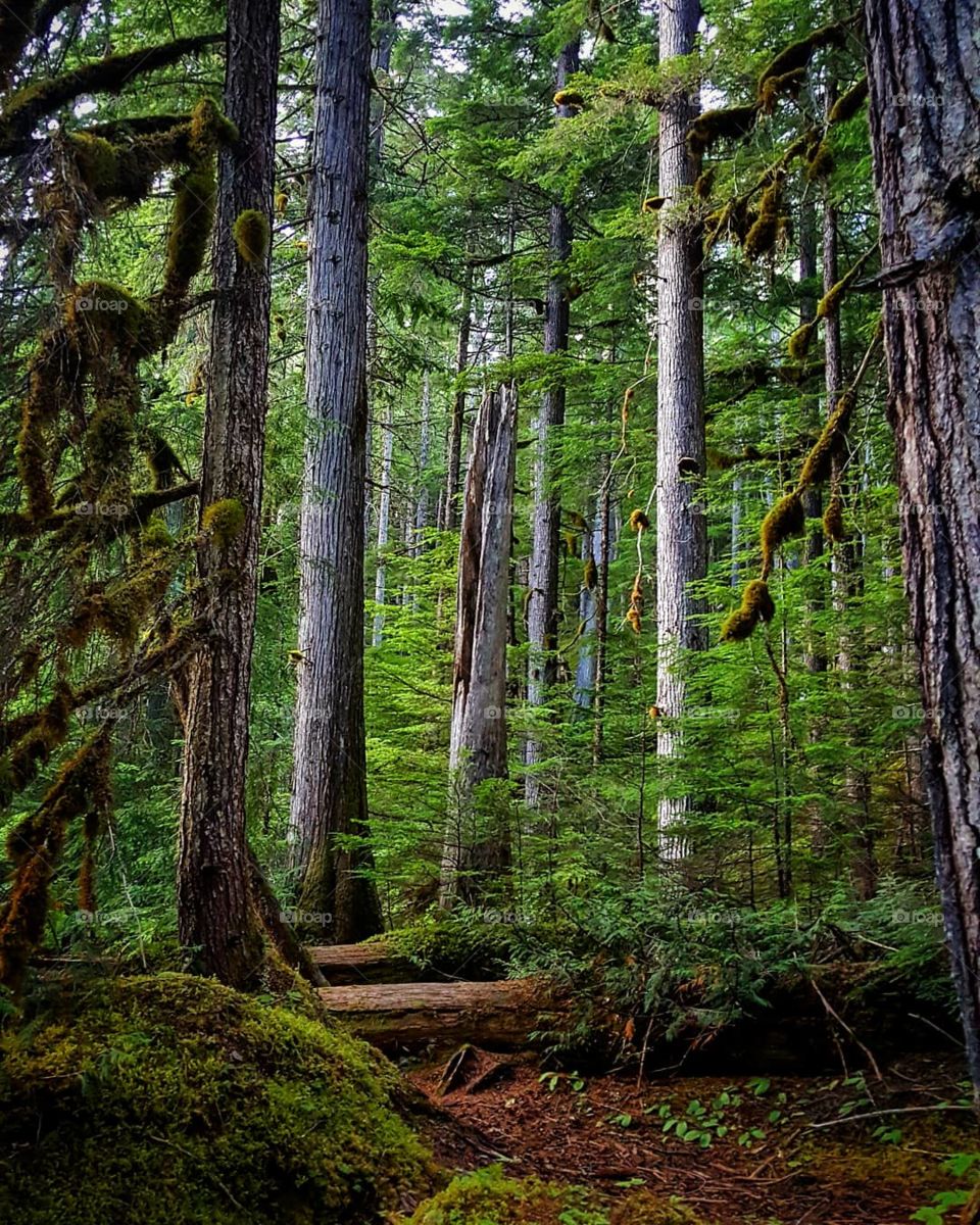 Nature Has No Judgement.