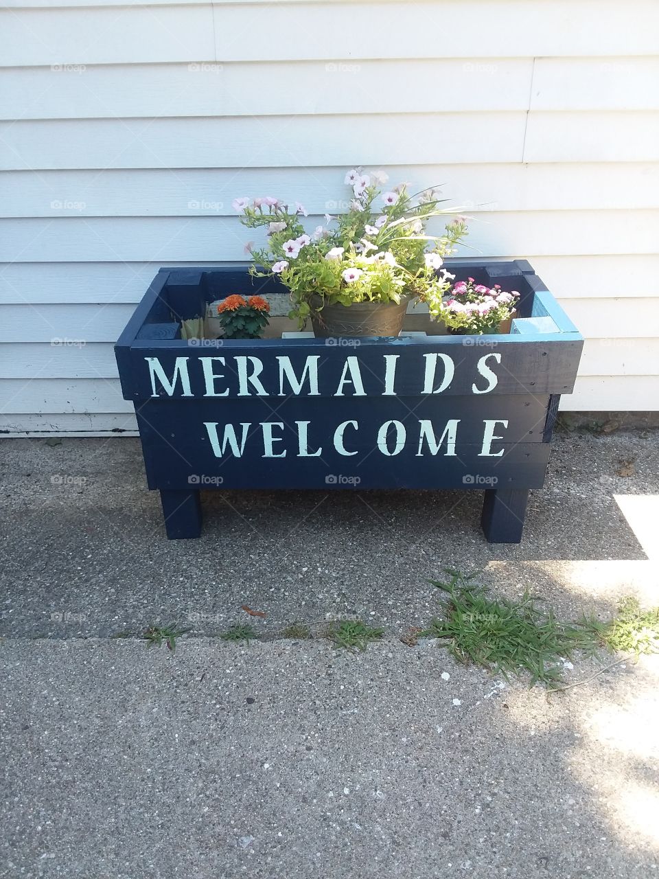 Mermaids Welcome