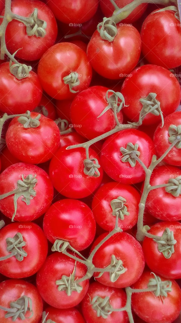Up view of abundence of red bright fresh
tomatoes in market