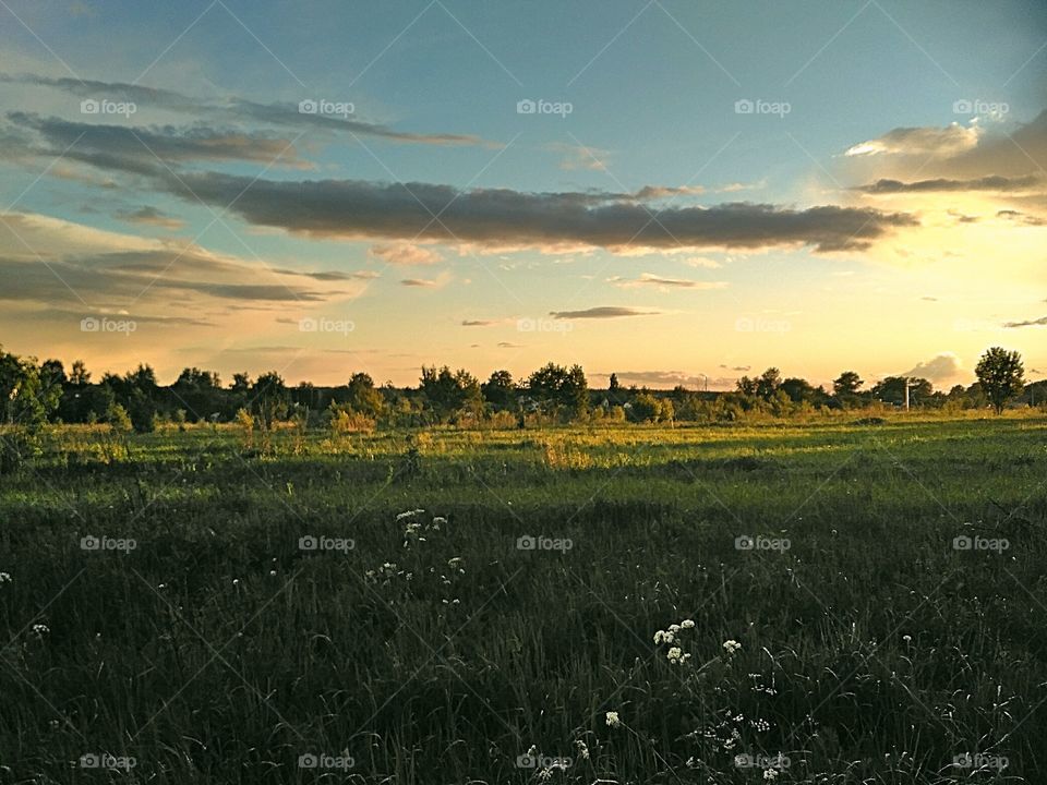 литний вечер,поле, облака, голубое небо,зелёная трава, цветы, оранжевый закат, деревья в дали.