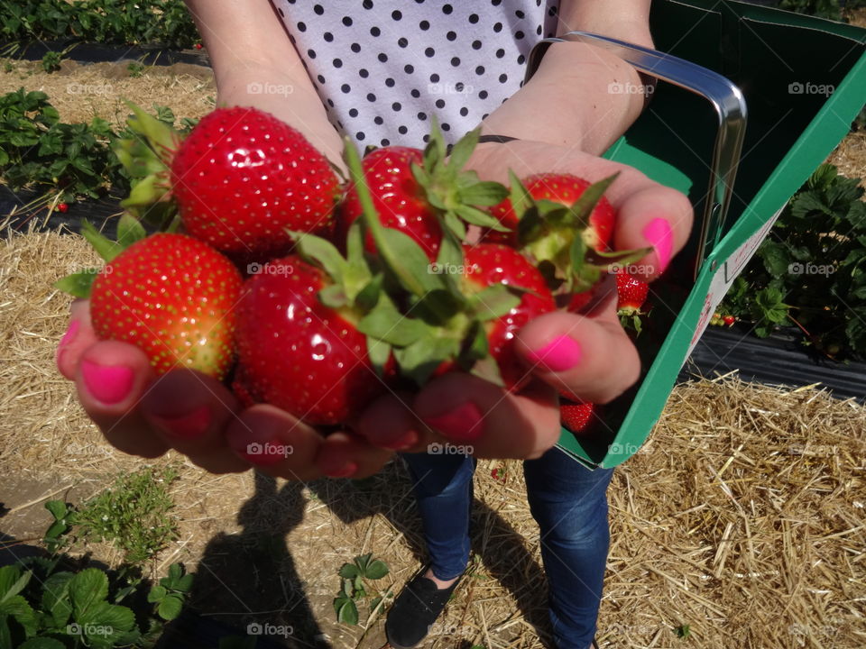 strawberries