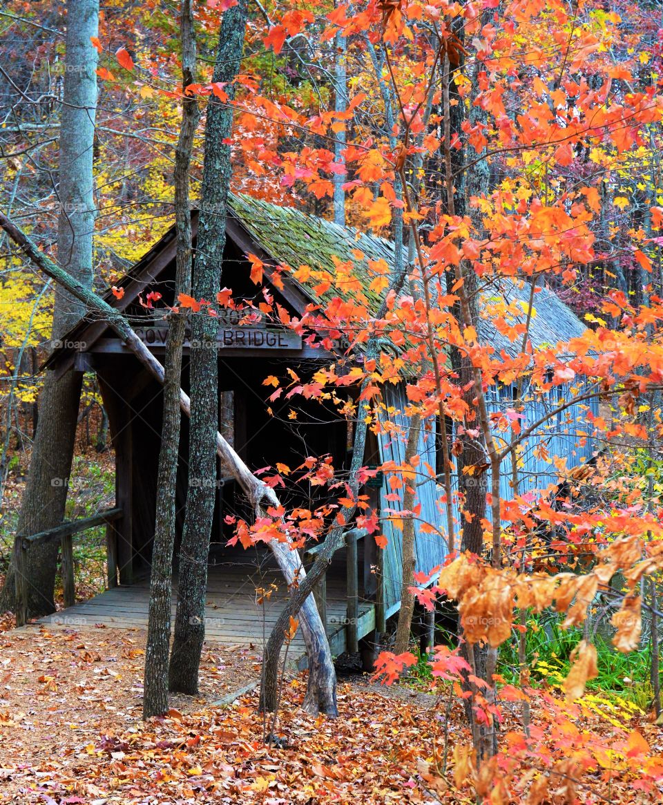 Covered Bridge