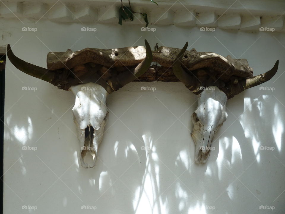 old yoke in Columbia