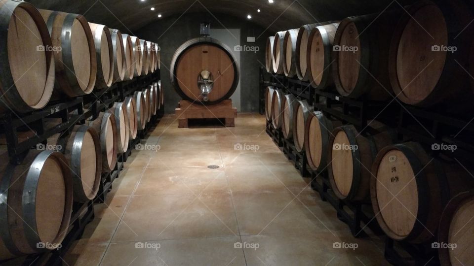 winery barrels