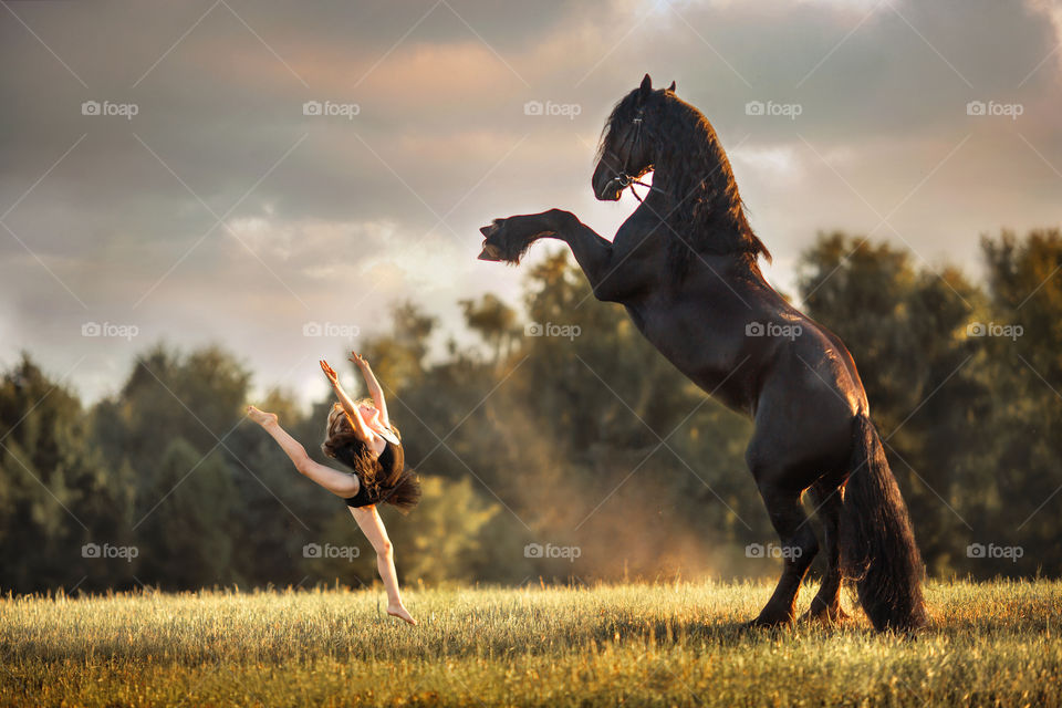 Little girl with black fresian stallion in summer evening 