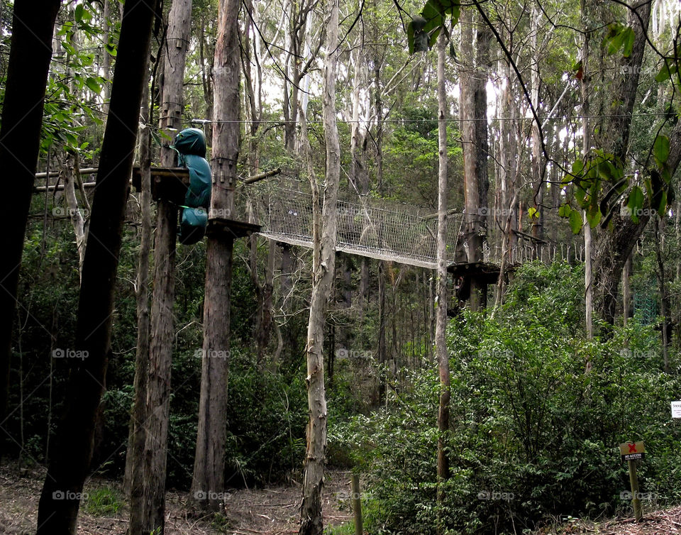 Zoo under construction. Tree ropes