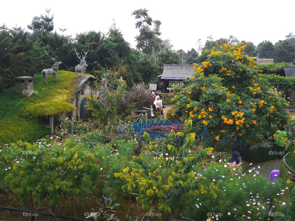 The Hobbit's House - Farmhouse Lembang, Indonesia