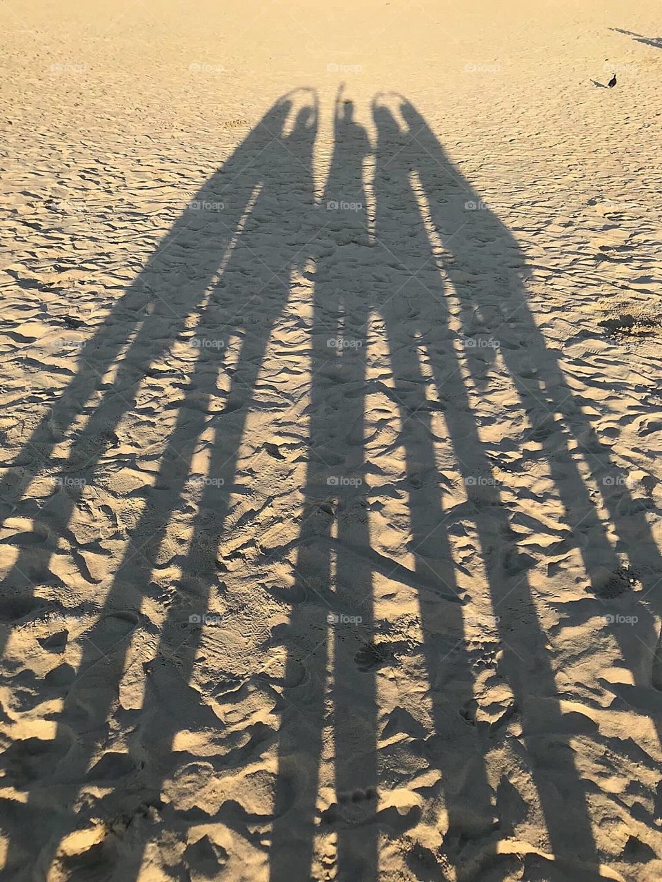 the shadow is not real