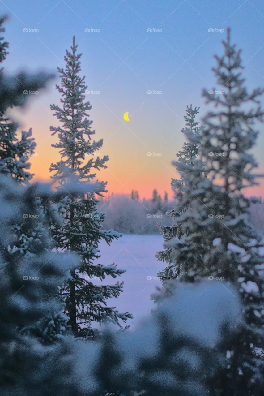 wintercolor