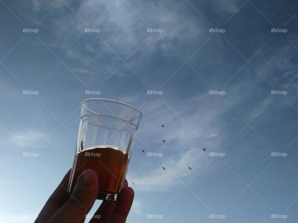 Beautiful cup of tea embraced foggy sky.