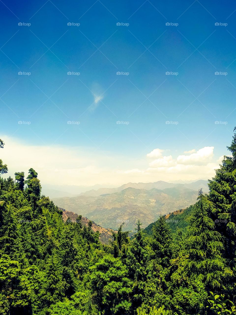 Amazing view of the mountain from the trees with sky and clouds