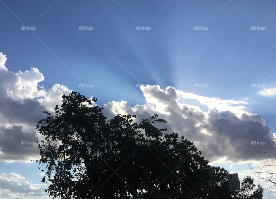 Sky with Sunrays