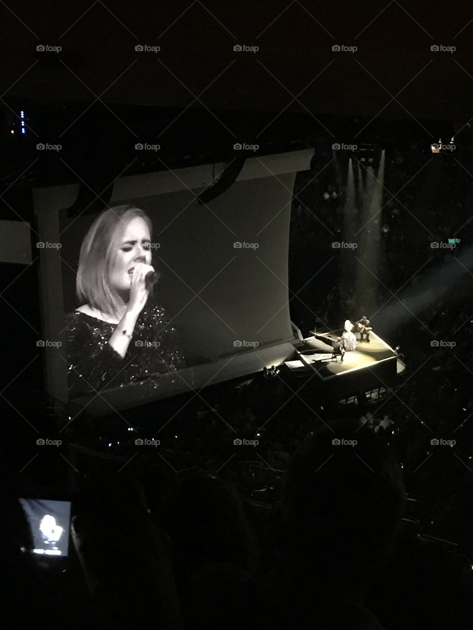 Adele at Madison Square Garden