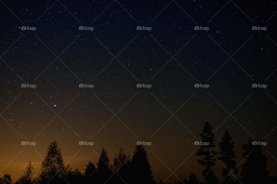 The beauty and natural things of the world