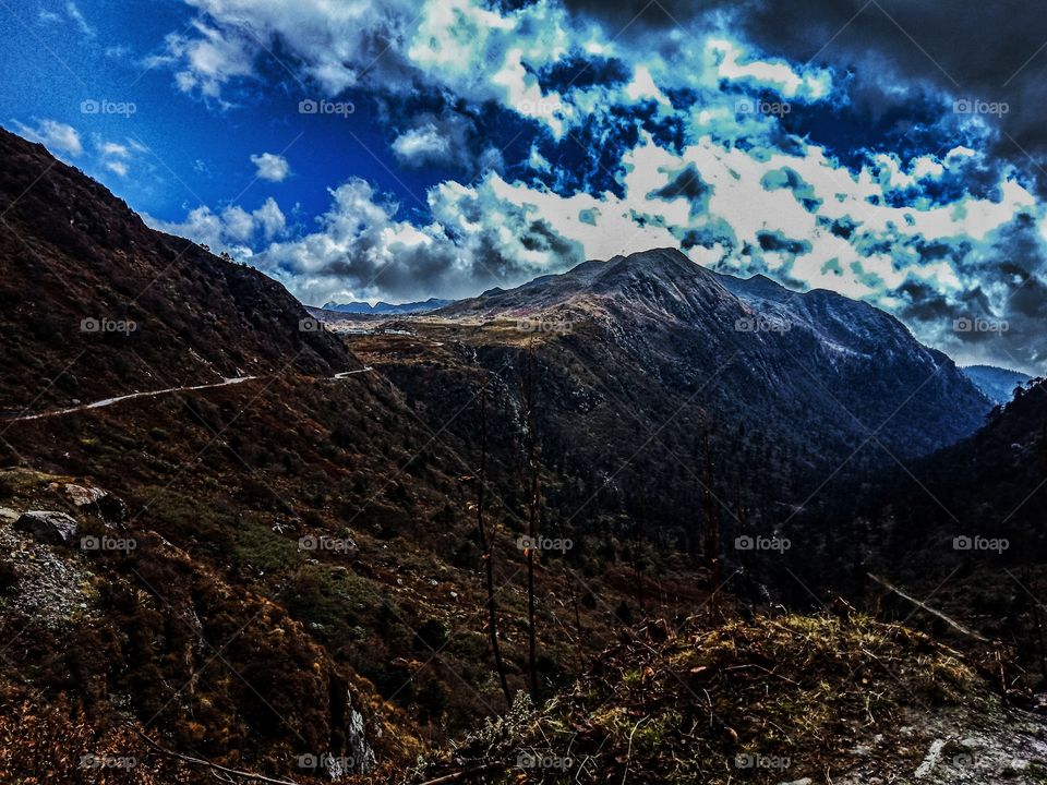 the heart of mine was made to travel this world