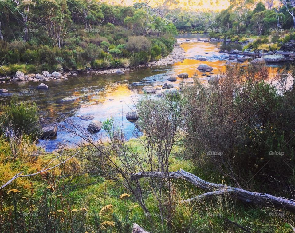 Reflections on the river early morning 