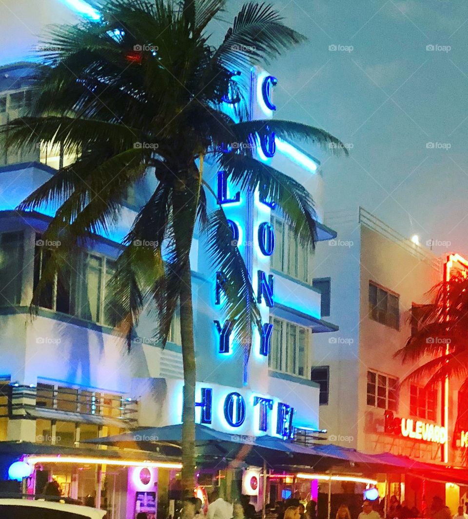 Colony Hotel in South Beach, Miami FL