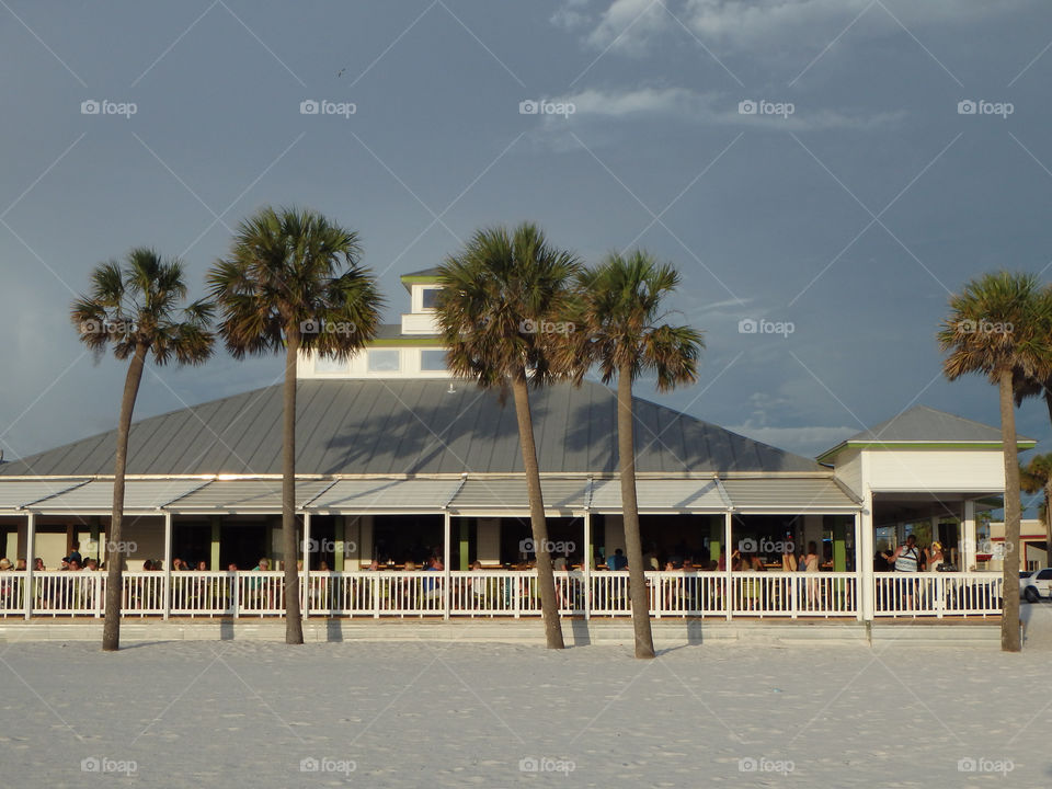 Clearwater Beach palm pavilion