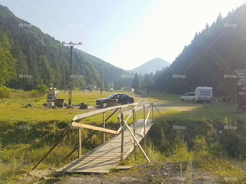 wooden bridgein nature