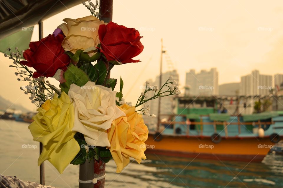 Flowers in Victoria Harbour